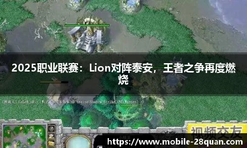 28圈官方网站