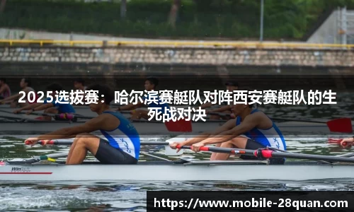 28圈官方网站